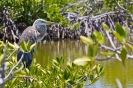 Belize